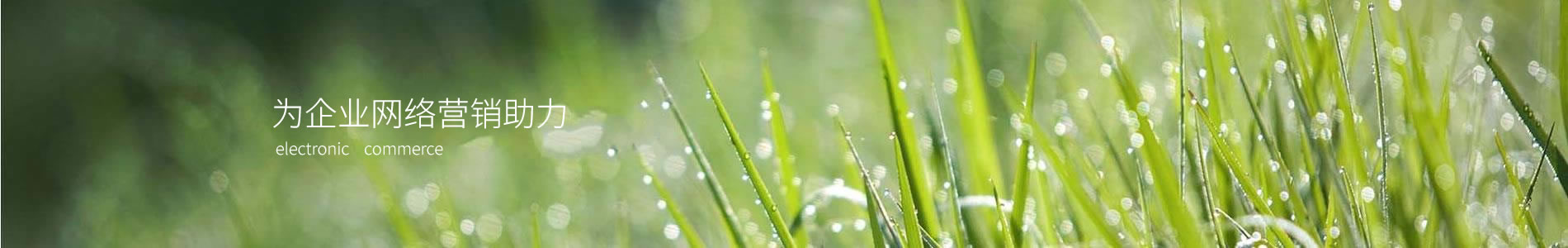ڽܣݣҵ޹˾